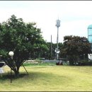 뜨레피아 이미지