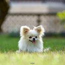 W&W(와앤와) 이미지