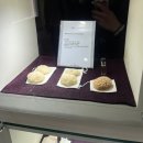 제주건강과 性 박물관 | 제주도 데이트, 서귀포 가볼만한 곳 건강과성박물관 내돈내산 후기 할인받는법