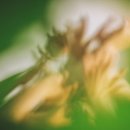 그림책 인문학 토론 이미지