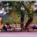 오후의휴식 이미지