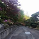 상록스테이 이미지