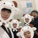 DKB 체육관 네이버블로그