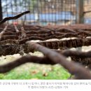 기자농장 이미지