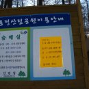 숲생태유치원 이미지