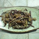 재진농장 이미지