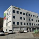 성심메디컬의원 네이버블로그