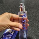 겐조 | 겐조 향수 추천 &#34;플라워 이케바나 겐조 인디고&#34; 내돈내산 후기