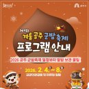 얼음왕국 세종331호점 | 2026 공주 군밤축제 일정부터 알밤 보관 꿀팁까지! 방문 전 1만 명이 확인한 정보 총정리