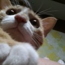 수아밍