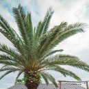 신도1400 이미지