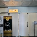 밀라뷰티 대구본점 이미지