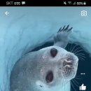 콧구멍PC방 이미지