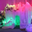 아이스뮤지엄 이미지