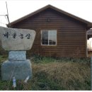 천남1리경로당 Daum카페