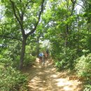 솔향기 쉼터 이미지