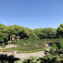 메이즈랜드 이미지