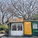 신선대산복로 이미지