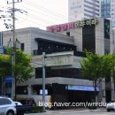 이랴이랴 이미지