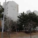 신제일약국 이미지