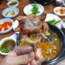 뚱이네 돼지국밥 | 부산의 숨은 맛집, 뚱이네 돼지국밥 뼈다귀 해장국 리뷰