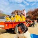 산성유치원 이미지