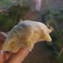 장호농장 이미지