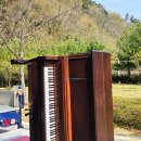 남명상회 네이버블로그