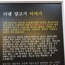 더램 이미지