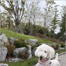 양산유치원 이미지