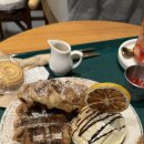 블루메디 이미지