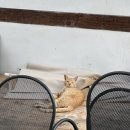 랑스튜디오