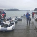 천리포항 이미지