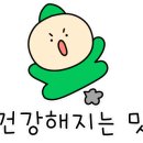 마실계절맛집 이미지