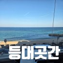 속초식당 | 바다 보이는 속초 식당 등대곳간 영랑동 맛집 밥집 솔직후기