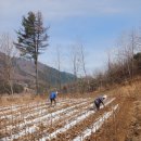 금문농장2 이미지