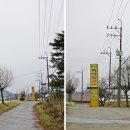 팔송정식당 이미지