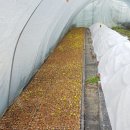 양촌목장 이미지