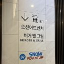스노우 어드벤처