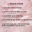 테오트리안양
