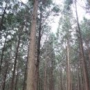 미래(주) 농업회사법인 이미지