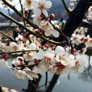 벽진 마을회관 이미지