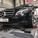 보쉬카랜드 이미지