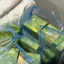 성당종합약국 이미지