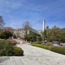 서울여자기독교청년회 | 서울 이화여자대학교 캠퍼스 투어 아이와 가볼 만한 곳