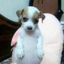 이수도 1박3식 예쁜민박 | [🏨🍴] 거제 여행지 추천 : 이수도 1박 3식 예쁜민박