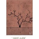 보일