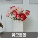 싱싱오름 | 장미꽃다발 택배 추천, 꽃오름몰 싱싱한 생화 후기
