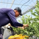 이승현농장 이미지