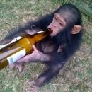 모퉁이맥주 네이버블로그